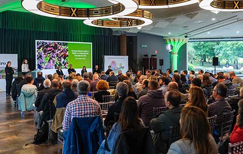 Tecnovino- flavescencia dorada y mildiu en la vid, jornada DO Ribeiro
