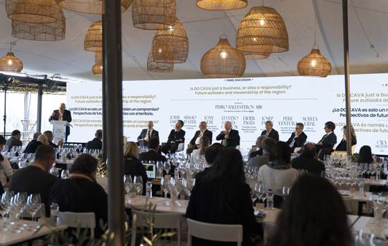 Tecnovino- futuro del cava Cava Meeting 2025, DO Cava