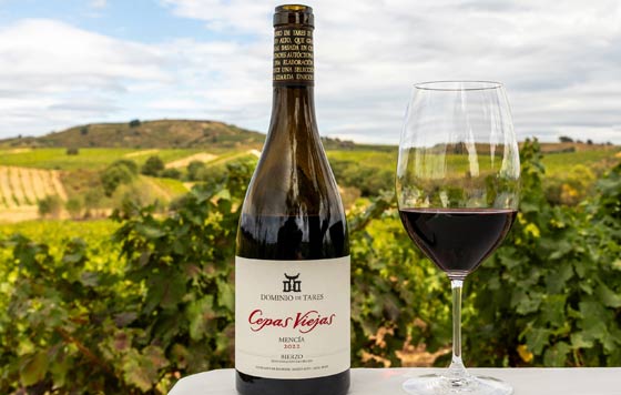 Tecnovino- vino Cepas Viejas 2022, Dominio de Tares