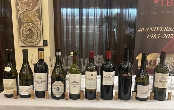 Tecnovino- 40 aniversario de la Unión Española de Catadores vinos, cata