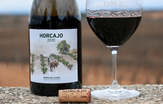 Tecnovino, Castrillo de Duero, Cepa 21, Horcajo 2020