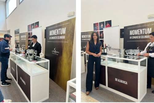 Tecnovino- DO Almansa