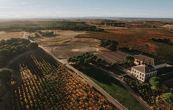 Tecnovino - Grupo La Rioja Alta SA: Áster y viñedo en espiral