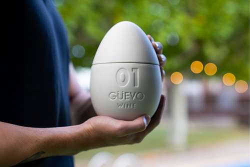 Tecnovino- Güevo Wine, César Langa
