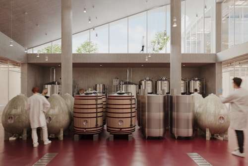 Tecnovino- Máster en Marketing, Comercialización y Negocio, EDA Drinks & Wine Campus del Vino y Bebidas y el Máster en Sumillería e Innovación en el Mundo Líquido,