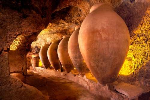 Tecnovino- Requena Ciudad Española del Vino 2026, Acevin