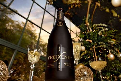Tecnovino- cava Freixenet