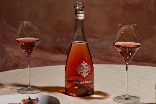 Tecnovino- cava Segura Viudas