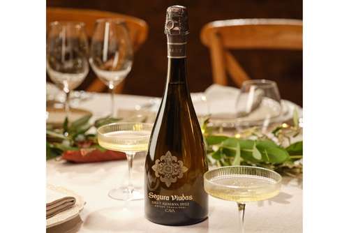 Tecnovino- cava Segura Viudas