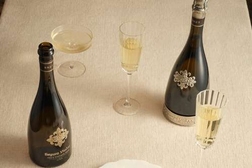 Tecnovino- cava Segura Viudas