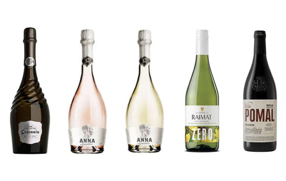 Tecnovino- cavas y vinos de Raventós Codorníu