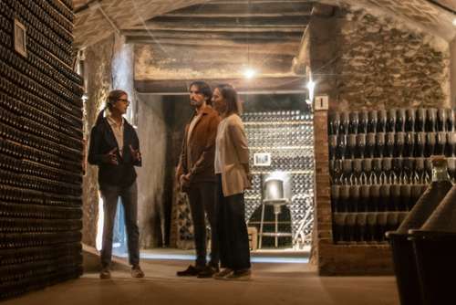 Tecnovino- enoturismo, Rutas del Vino de España