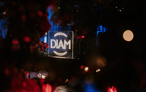 Tecnovino- tapones para vino DIAM