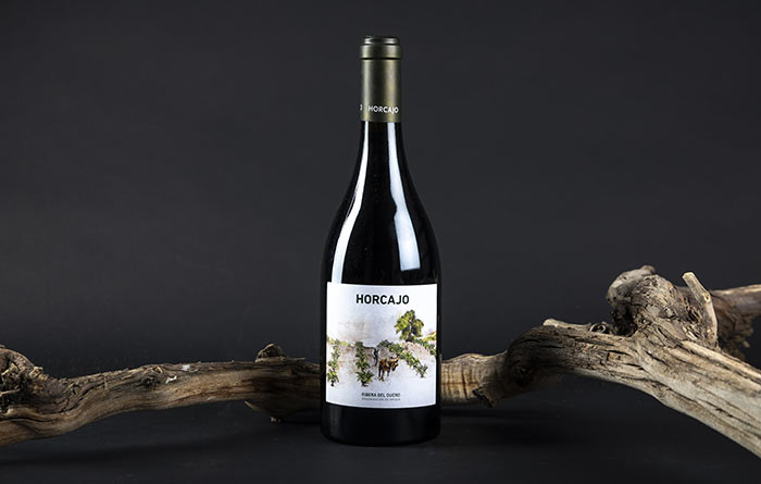 Tecnovino, Horcajo 2020, vino de Cepa 21