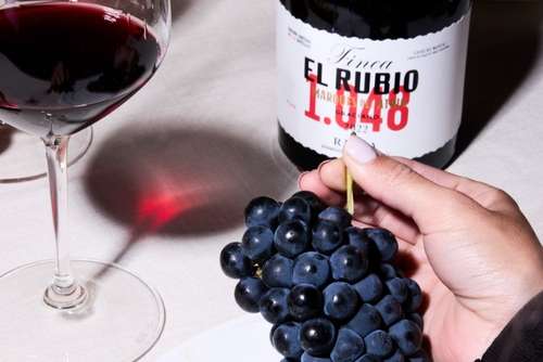 Tecnovino- vino Marqués del Atrio Finca El Rubio 2022