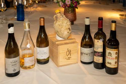 Tecnovino- vinos de Salou