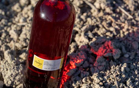 Tecnovino, DO Cigales