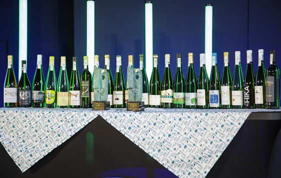 Tecnovino, DO Getariako Txakolina