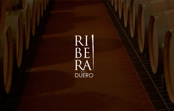 Tecnovino, DO Ribera del Duero