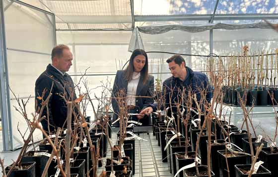 Tecnovino, IMIDA, Infraestructura, portainjertos de vid certificados, invernadero de bioseguridad