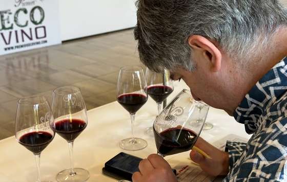 Tecnovino- Premios Ecovino, concurso de vinos ecológicos