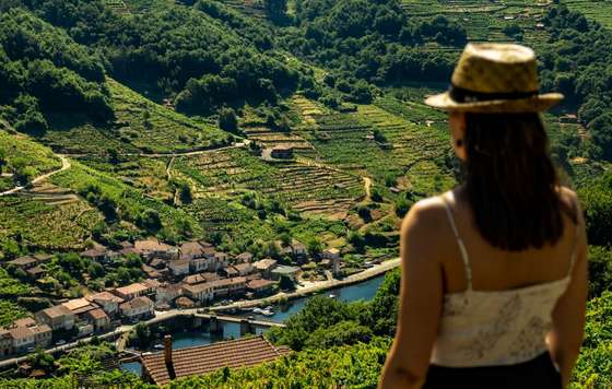 Tecnovino- Vía Romana, viticultura heroica en Ribeira Sacra