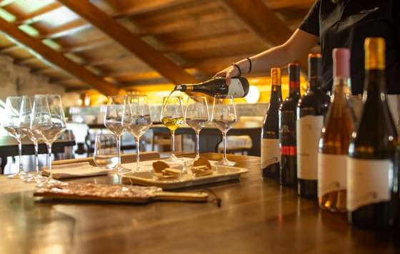 Tecnovino- Vía Romana, viticultura heroica en Ribeira Sacra