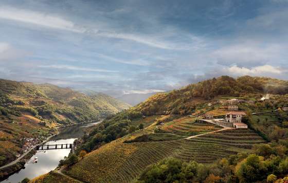 Tecnovino- Vía Romana, viticultura heroica en Ribeira Sacra