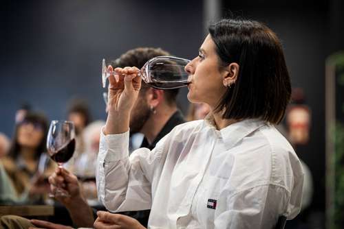 Tecnovino- campaña de la Denominación de Origen de Campo de Borja uva garnacha
