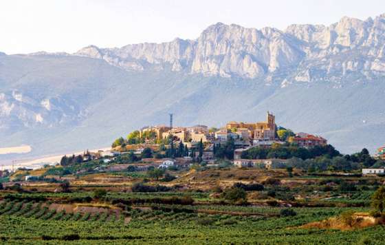 Tecnovino- vinos Rioja Alavesa