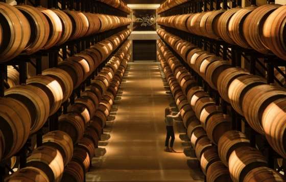 Tecnovino- Abadía Retuerta: Enoturismo y vinos de Pago en el Valle del Duero