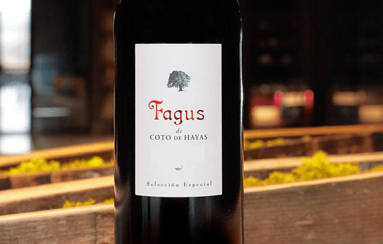 Tecnovino, Bodegas Aragonesas, vino Fagus
