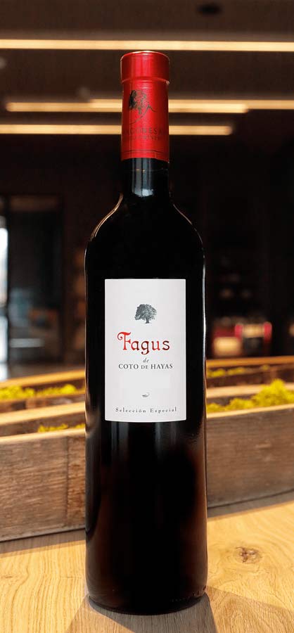 Tecnovino, Bodegas Aragonesas, vino Fagus
