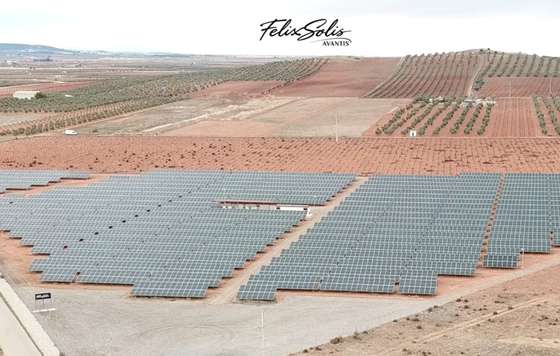 Tecnovino- Félix Solís Avantis, huerto solar