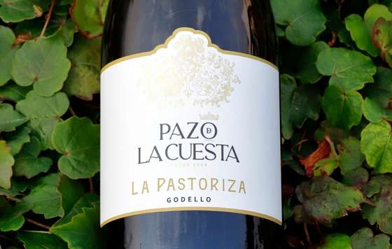 Tecnovino- La Pastoriza 2023, vino godello de Pazo de La Cuesta