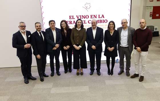 Tecnovino- Plan Estratégico al sector vitivinícola español, Horizonte 2028, Interprofesional del Vino de España OIVE