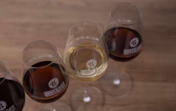 Tecnovino- Ruta del Vino Condado de Huelva