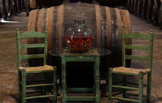 Tecnovino- Ruta del Vino Condado de Huelva