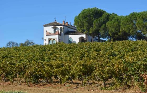 Tecnovino- Ruta del Vino Condado de Huelva