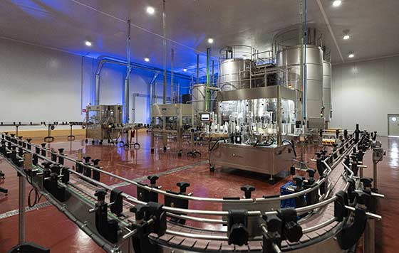 Tecnovino-Solos producción de vino NoLo, planta en Valencia interior 3