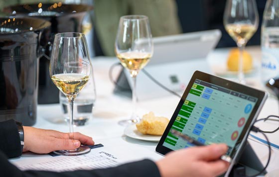 Tecnovino, Strasbourg Events, Mondial des Vins Blancs Strasbourg y el European Red & Rosé Wine Contest, Centro de Congresos de Estrasburgo