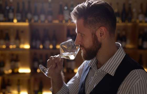 Tecnovino- jovenes talentos del vino, Wine shapers