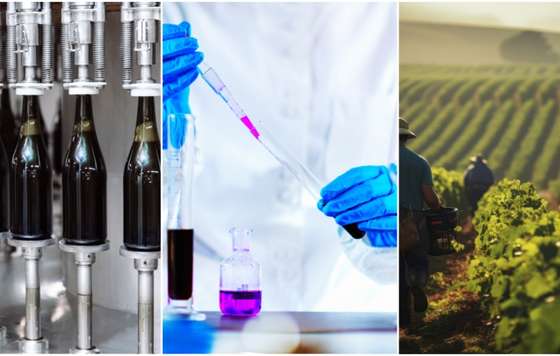 Tecnovino- programa de becas de la OIV