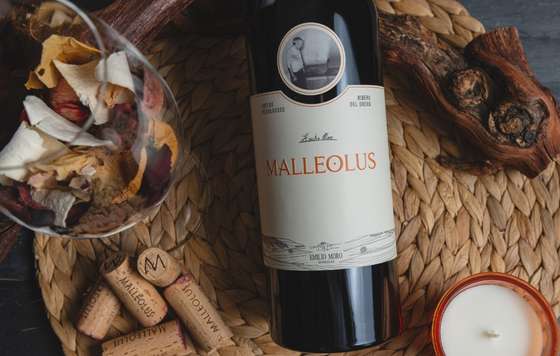 Tecnovino- vino Malleollus Bodegas Emilio Moro