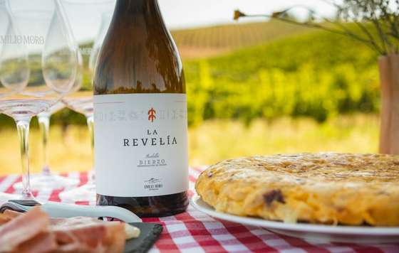 Tecnovino- Revelia Bodegas Emilio Moro