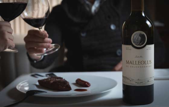 Tecnovino- Valderramiro Bodegas Emilio Moro