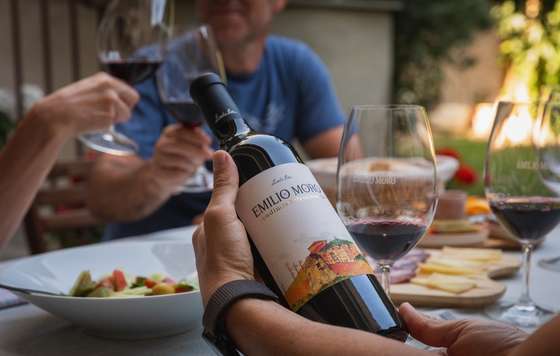 Tecnovino- 5 vinos de Bodegas Emilio Moro