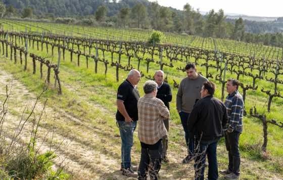 Tecnovino, Asociación de Viticultores del Penedès (AVP), DO CAVA