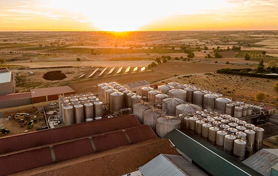 Tecnovino- Bodega Soledad, inversión