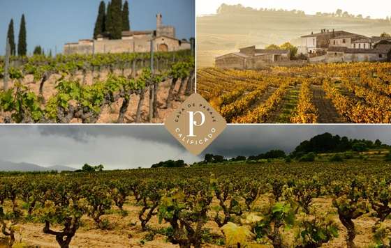 Tecnovino- D.O Cava, Cavas de Guarda Superior de Paraje Calificado